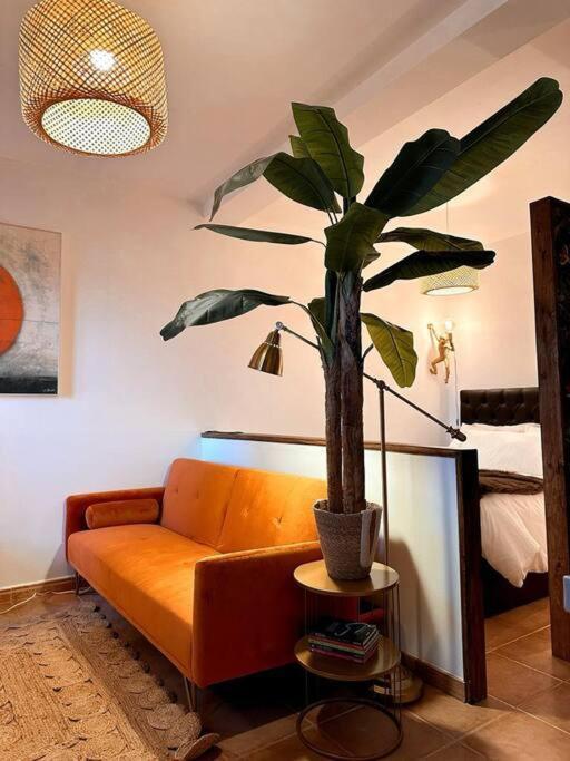 Cerezinoflats-Orange Bay Studio Seixal  Extérieur photo